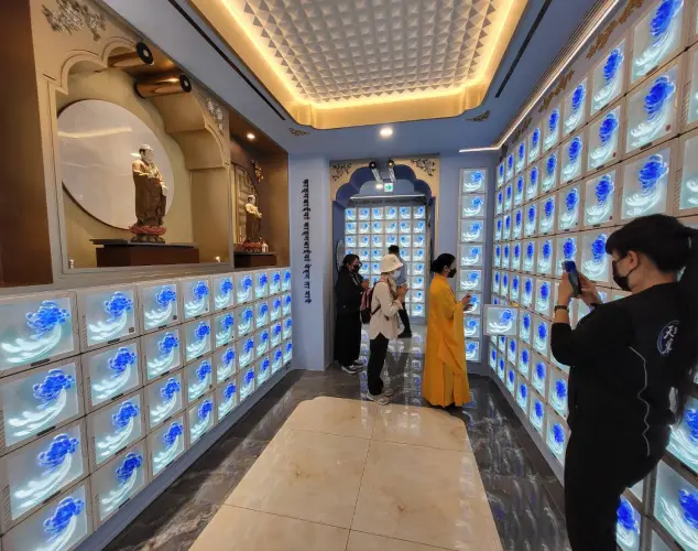 Gallery Image 8